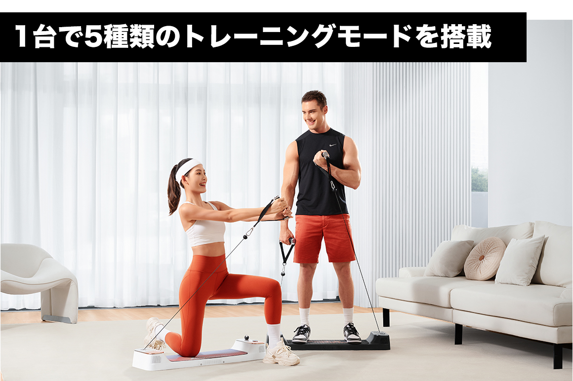 楽天市場】【クーポン利用不可】【AOPEN】スマートホームジム